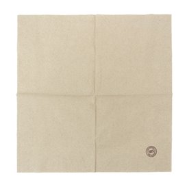 Paper Napkin Eco "Recycled" 33x33cm 1C (100 Units) 