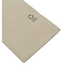 Paper Napkin Eco-Friendly 1/8 40x40cm 2C (50 Units)
