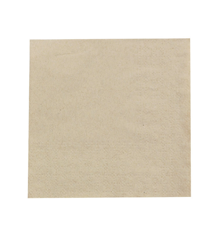 Paper Napkins Eco-Friendly 20x20cm 2C (100 Units) 