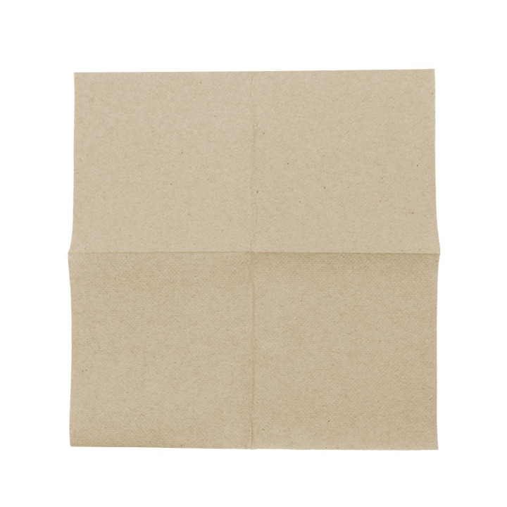 Paper Napkin Eco "Recycled" 20x20cm 2C P-P (3.240 Units)