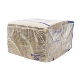 Paper Napkin Eco "Recycled" 33x33cm 1C (4800 Units)