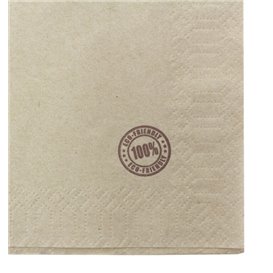 Paper Napkin Eco "Recycled" 33x33cm 1C (4800 Units)