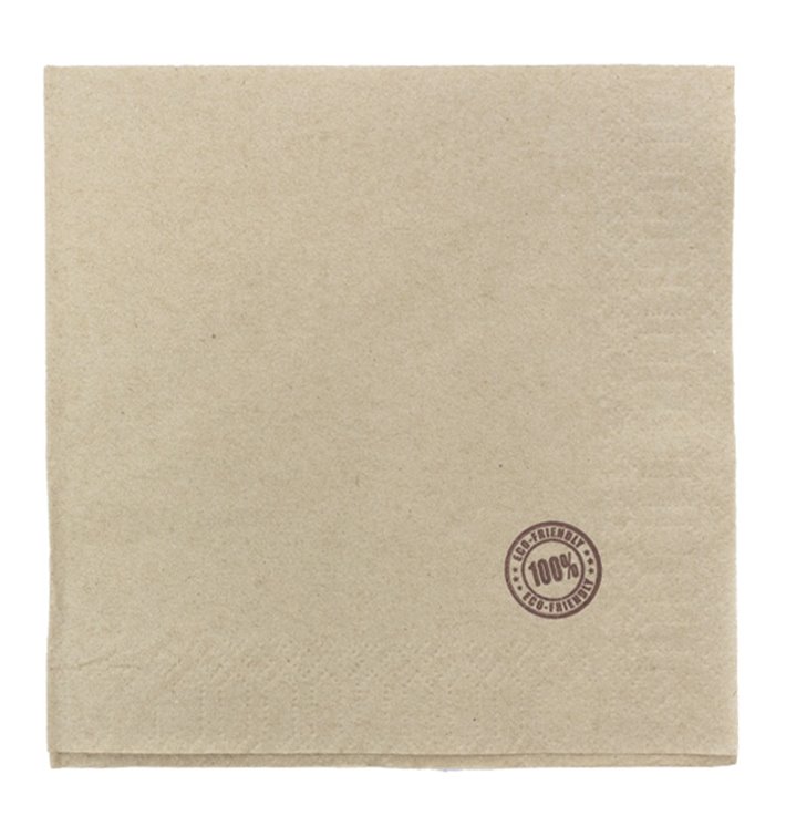 Paper Napkin Eco "Recycled" 33x33cm 1C (4800 Units)