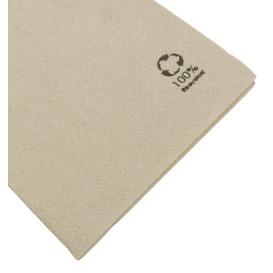 Paper Napkin Eco 1/8 40x40 2C (50 Units)
