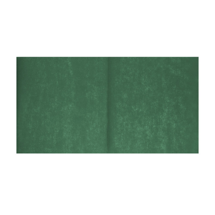 Novotex Table Runner Green 50g 40x100cm (500 Units)  