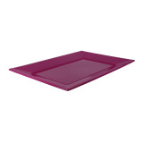 Plastic Tray Fuchsia 33x22,5cm (25 Units) 