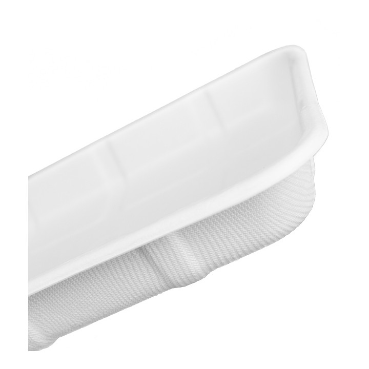 Sugar Cane Tray 24,2x18,3cm (50 Units) 