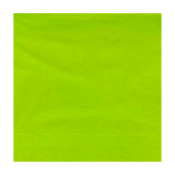 Paper Napkin Edging Pistachio 20x20cm 2C (100 Units)  