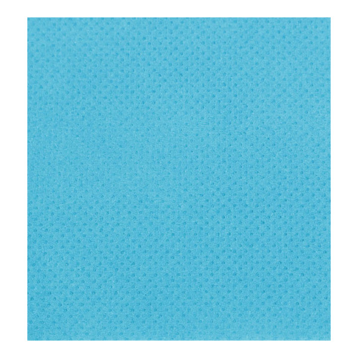 Paper Napkin Micropoint Turquoise 20x20cm 2C (3.240 Units)