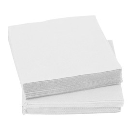 Paper Napkin Micropoint White 20x20cm 2C (100 Units)