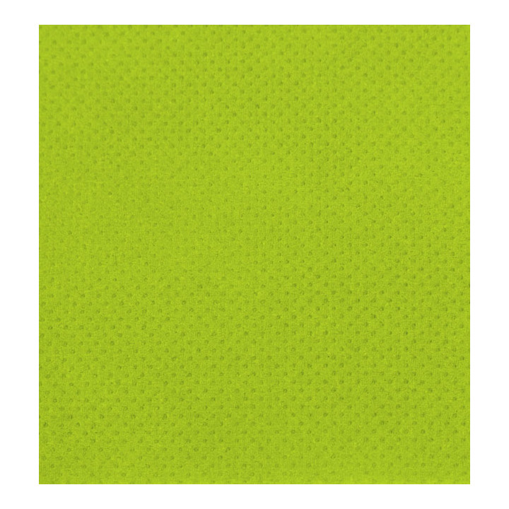 Paper Napkin Micropoint Pistachio 20x20cm 2C (3.240 Units)