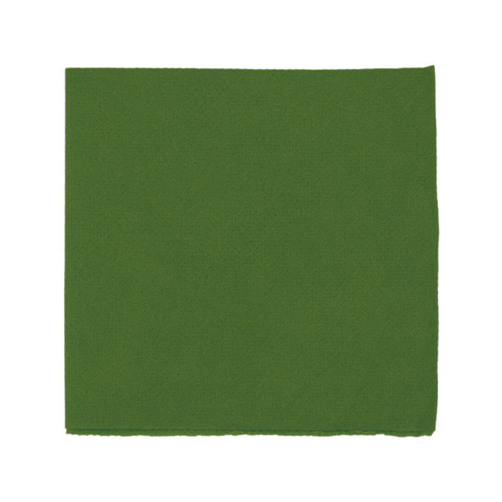 Paper Napkin Micropoint Green 20x20cm 2C (100 Units)  