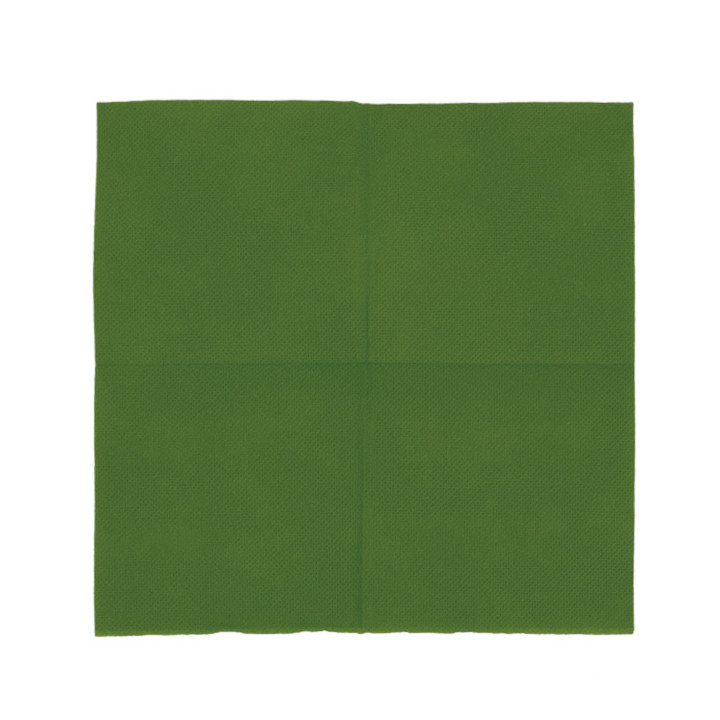 Paper Napkin Micropoint Green 20x20cm 2C (100 Units)  