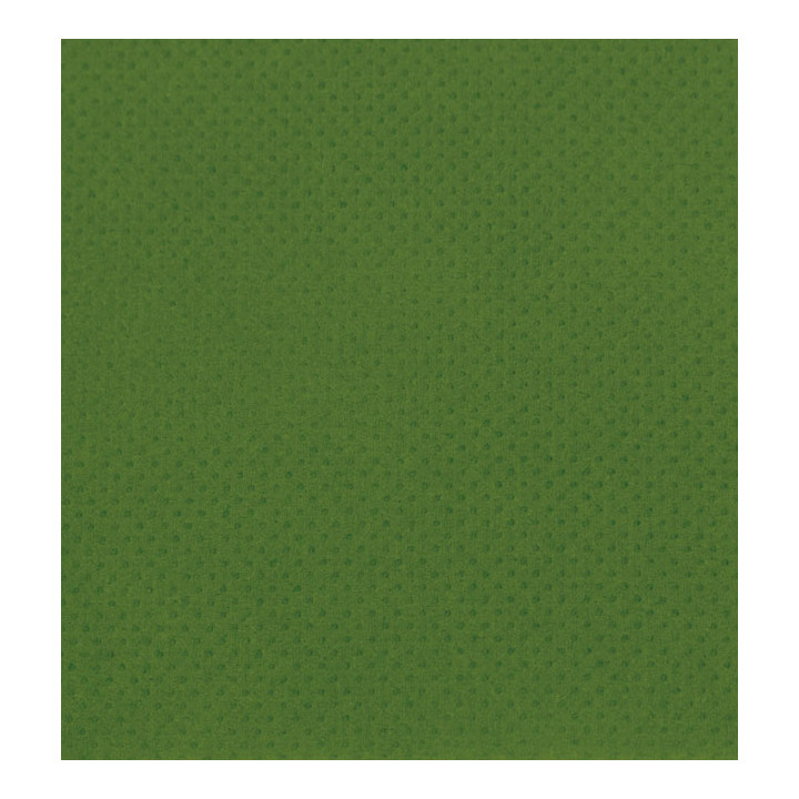 Paper Napkin Micropoint Green 20x20cm 2C (100 Units)  