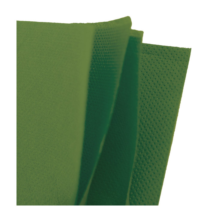 Paper Napkin Micropoint Green 20x20cm 2C (100 Units)  