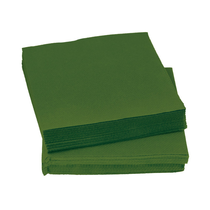 Paper Napkin Micropoint Green 20x20cm 2C (100 Units)  