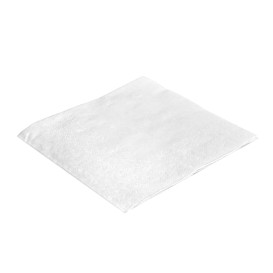 Paper Napkin White 20x20cm 2C (100 Units)  