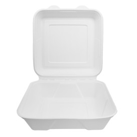 Sugarcane Hinged Container "Menu Box" White 22,5x22,5x7,5cm (50 Units) 