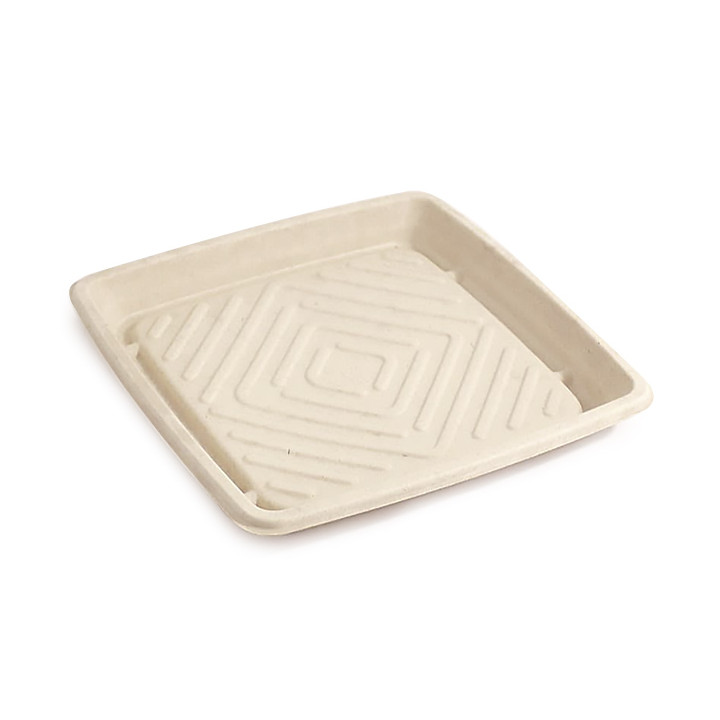 Sugarcane Tray Square Shape Natural 27x27cm (25 Units)
