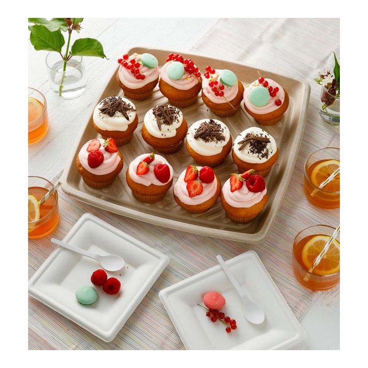 Sugarcane Tray Square Shape Natural 27x27cm (25 Units)