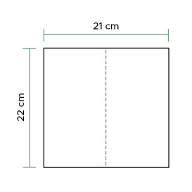 Paper Towel Tissue Eco 2 Layers Z folding (3.800 Units)