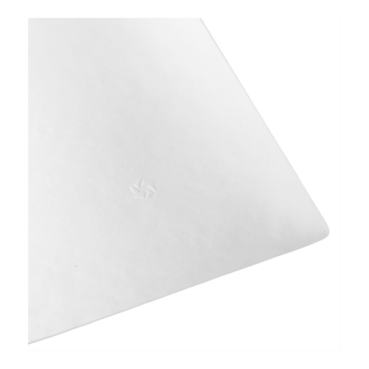Sugarcane Plate Wasara Biodegradable "Kaku" L 20,4x20,4x3,6 cm (50 Units) 