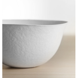 Sugarcane Bowl Wasara Biodegradable 500ml (50 Units) 