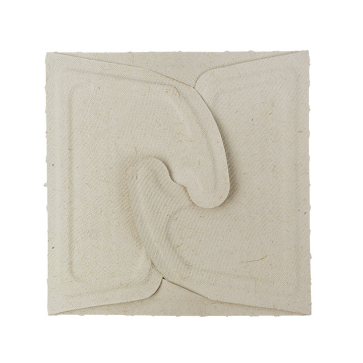 Package Sugarcane Box to Go 13x13x7cm 500ml. (50 Units)
