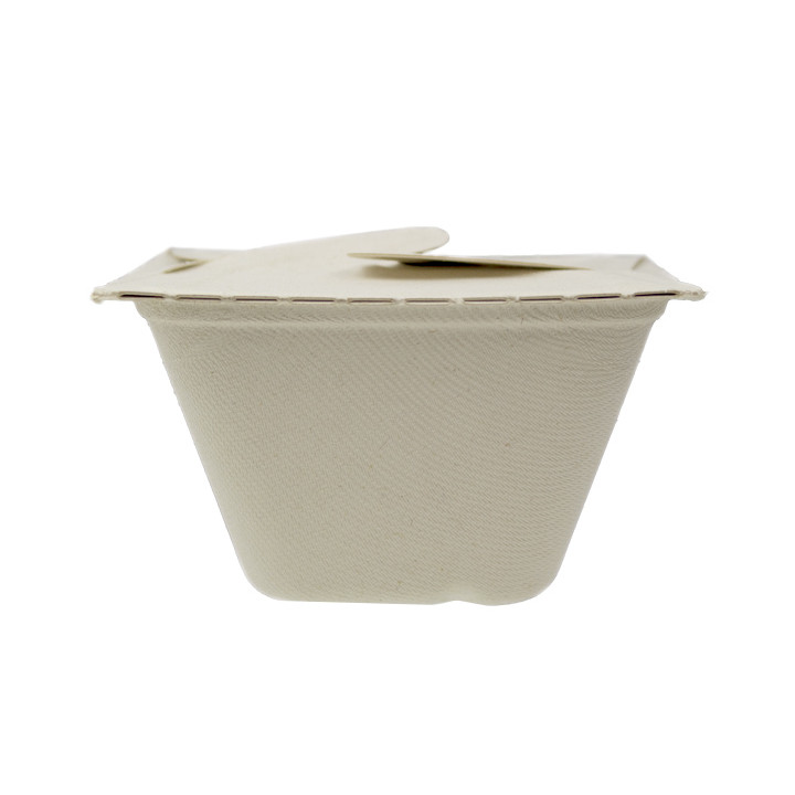 Package Sugarcane Box to Go 13x13x7cm 500ml. (50 Units)