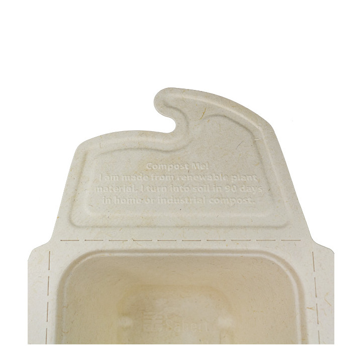 Package Sugarcane Box to Go 13x13x7cm 500ml. (300 Units)