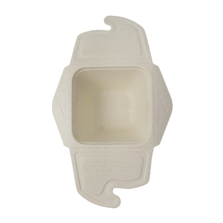 Package Sugarcane Box to Go 13x13x7cm 500ml. (300 Units)