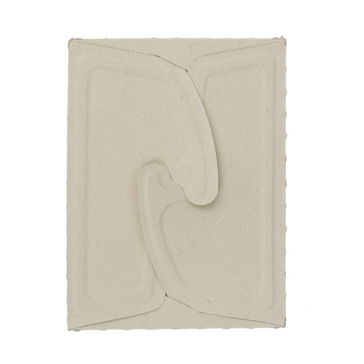 Package Sugarcane Box to Go 17x13x7cm 750ml. (50 Units)