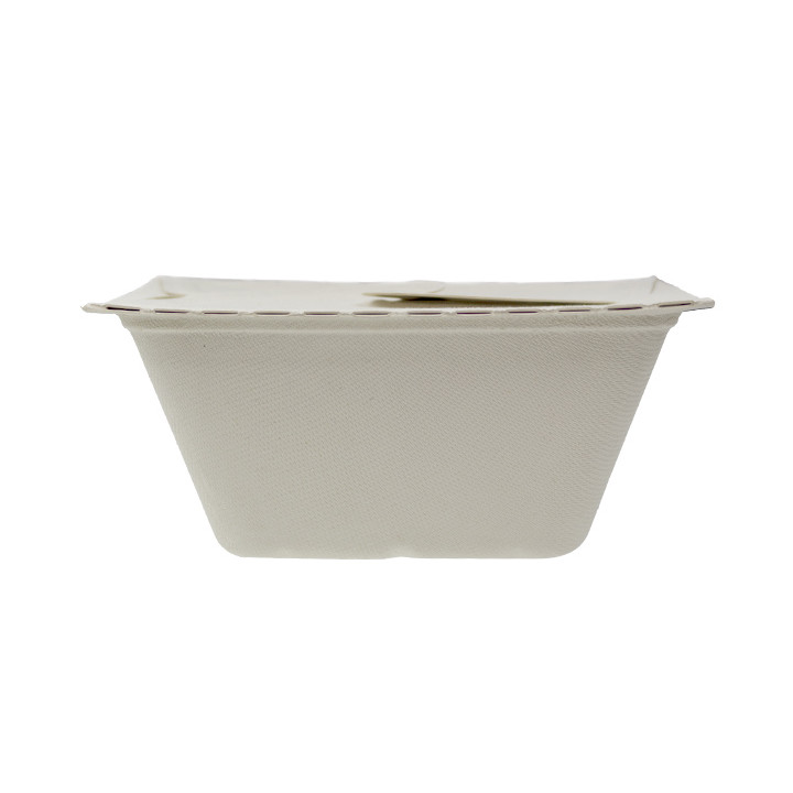 Package Sugarcane Box to Go 17x13x7cm 750ml. (100 Units)