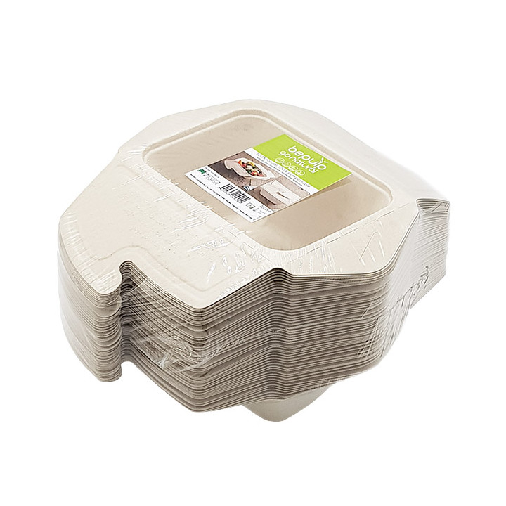 Package Sugarcane Box to Go 17x13x7cm 750ml. (200 Units)