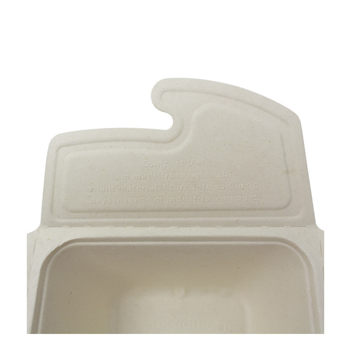 Package Sugarcane Box to Go 17x13x7cm 750ml. (200 Units)