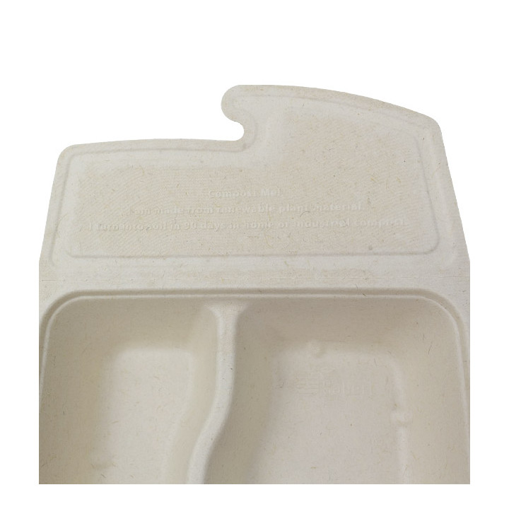 Package Sugarcane Box to Go 2C 21x15x5cm 800ml (200 Units)