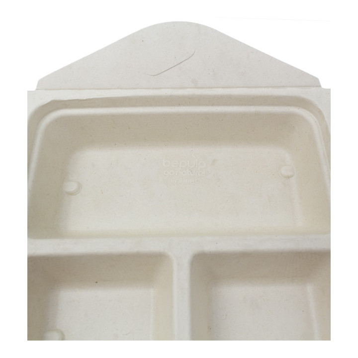 Package Sugarcane Box to Go 3C 21x21x4cm 900ml (100 Units)