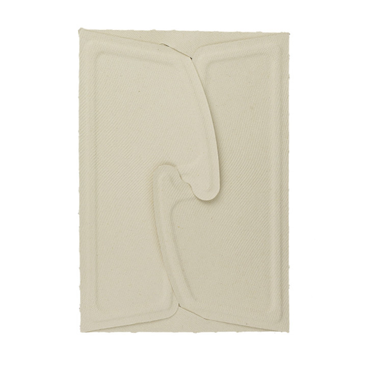 Package Sugarcane Box to Go 21x15x5cm 1000ml. (50 Units)