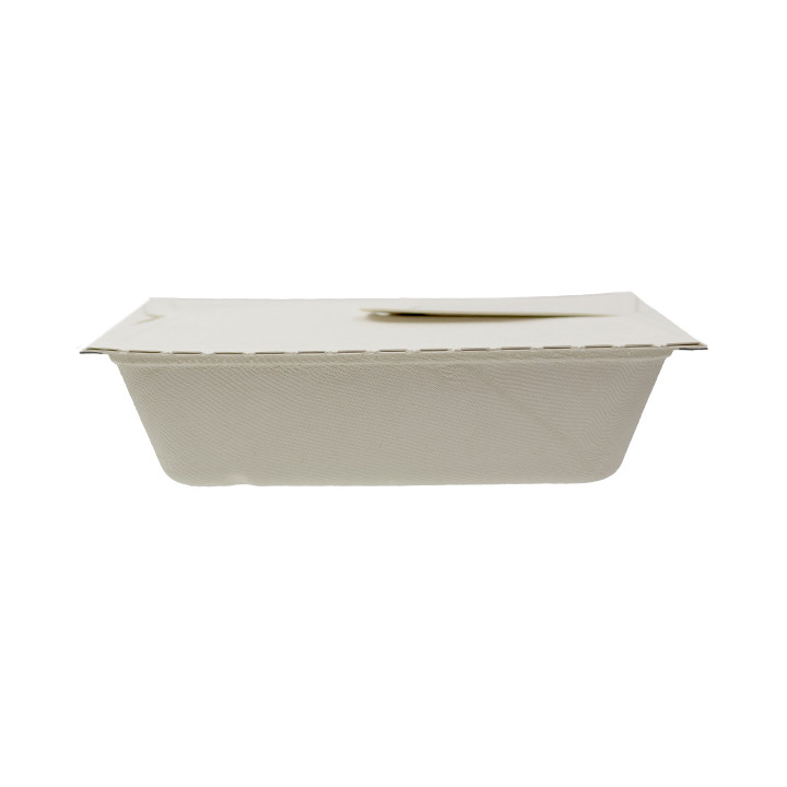Package Sugarcane Box to Go 21x15x5cm 1000ml. (75 Units)