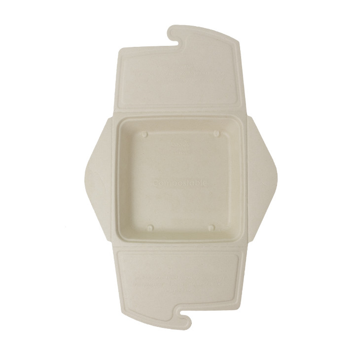Package Sugarcane Box to Go 21x21x4cm 1350ml (50 Units)