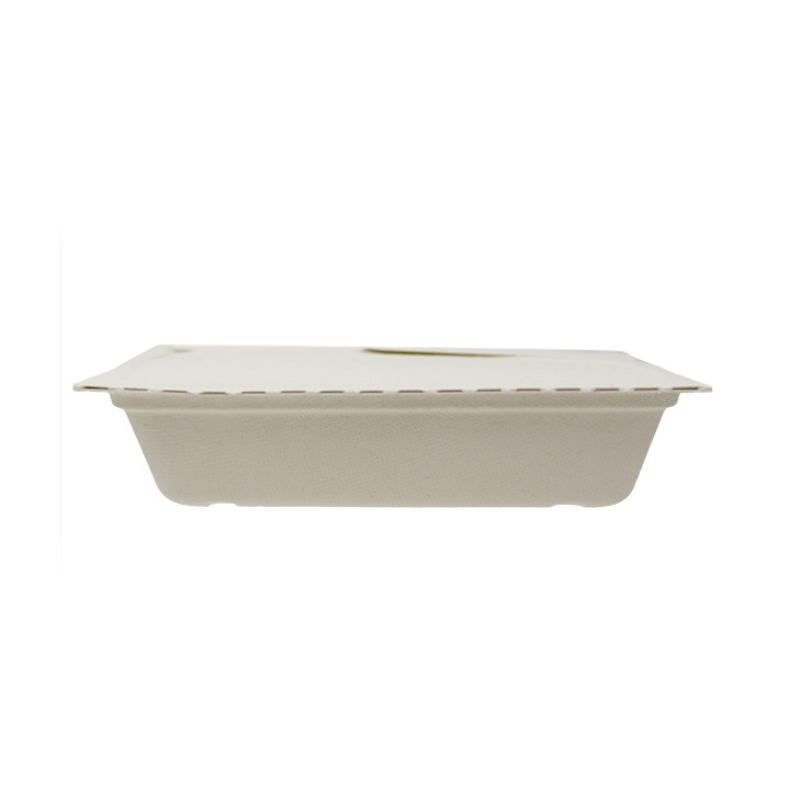 Package Sugarcane Box to Go 21x21x4cm 1350ml (100 Units)