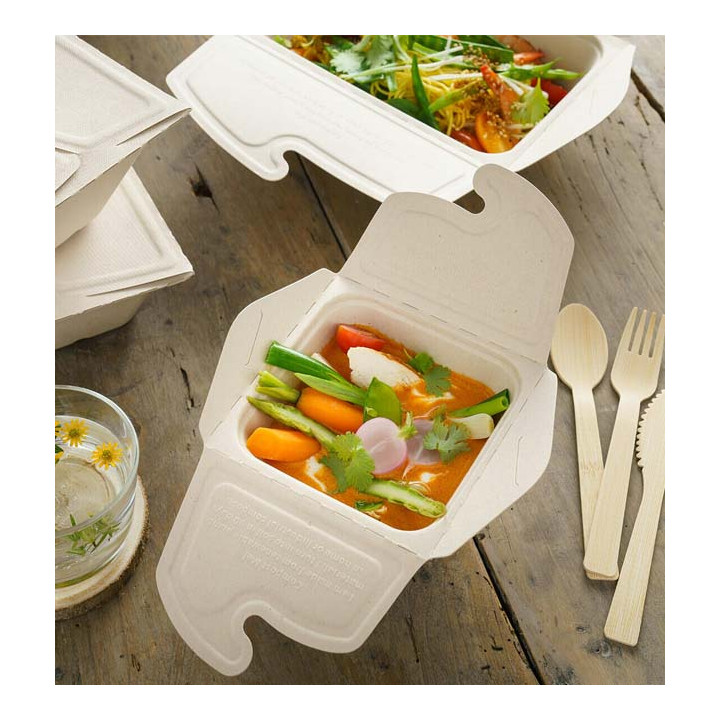 Package Sugarcane Box to Go 13x13x7cm 500ml. (50 Units)