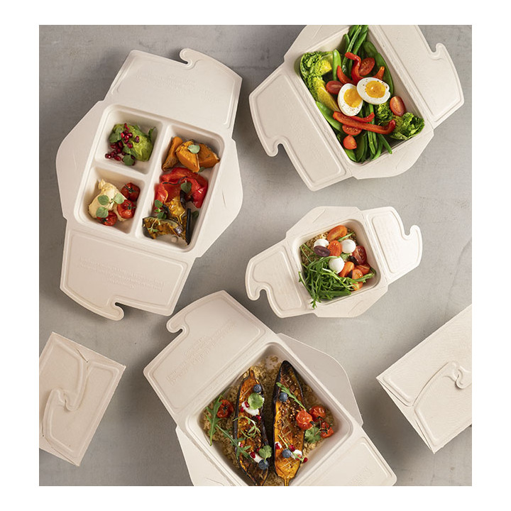 Package Sugarcane Box to Go 13x13x7cm 500ml. (300 Units)