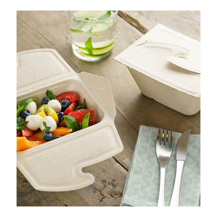 Package Sugarcane Box to Go 13x13x7cm 500ml. (50 Units)