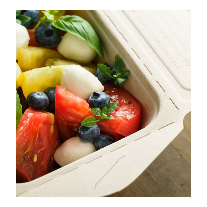 Package Sugarcane Box to Go 17x13x7cm 750ml. (200 Units)