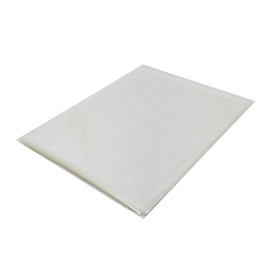 Plastic Bag with Adhesive Flap Cellophane 30x40cm G-160 (1000 Units)
