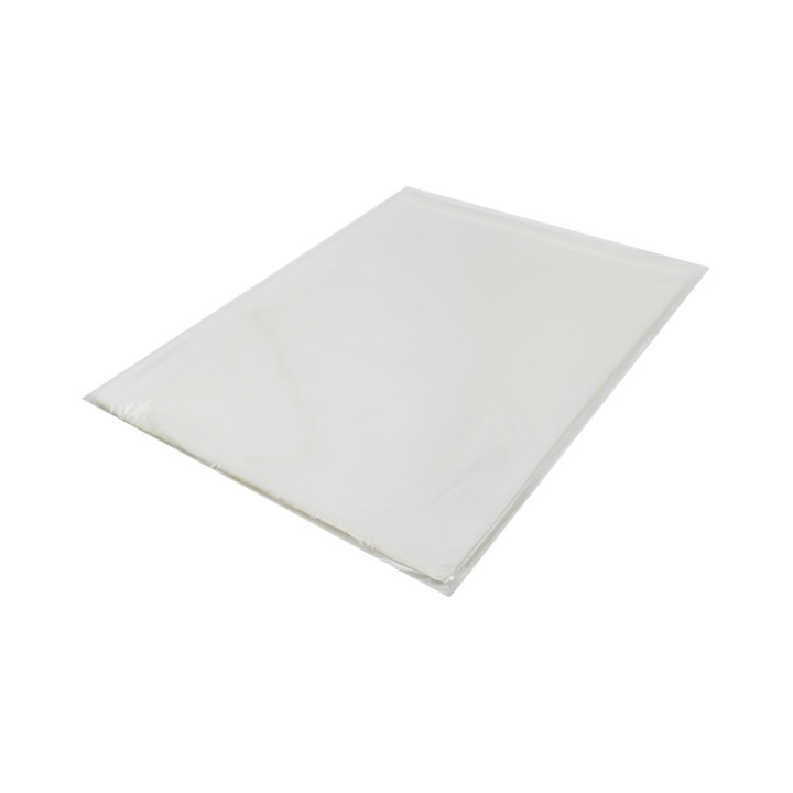 Plastic Bag with Adhesive Flap Cellophane 35x45cm G-160 (100 Units)  