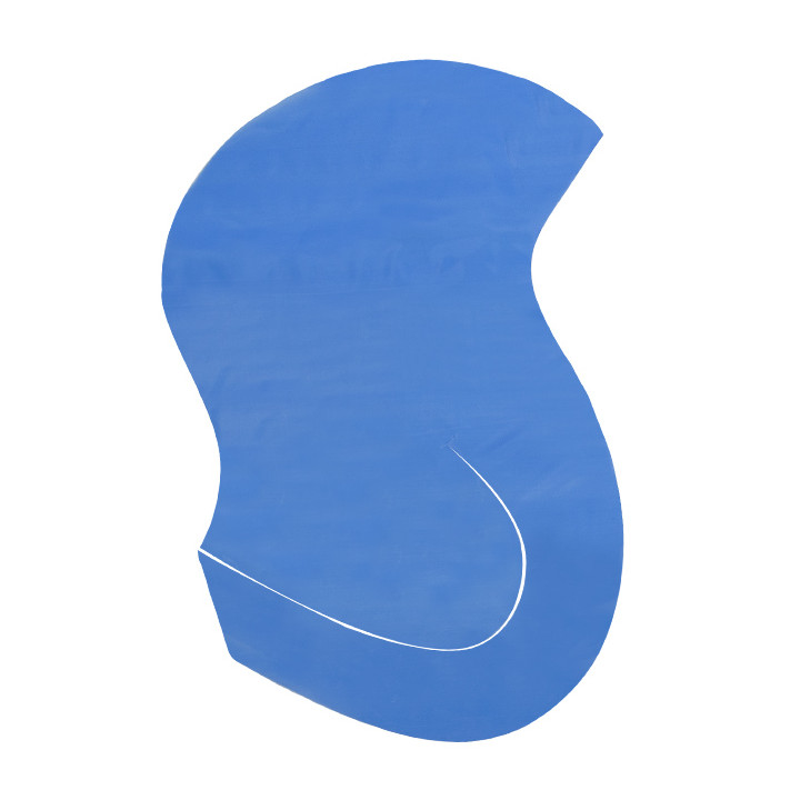 Disposable Bouffant Cap PE Hair Treatment Blue (2000 Units)