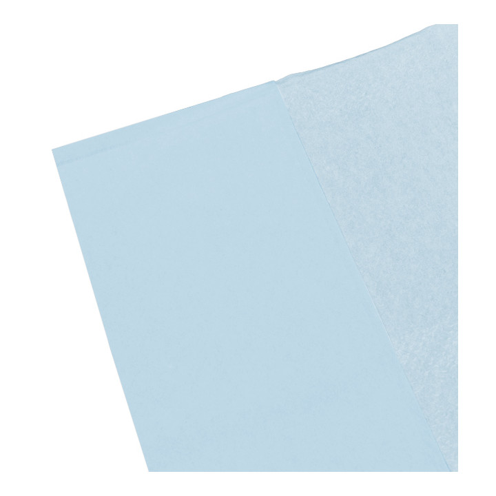 Disposable Adult Bib with Pocket Blue 36x65cm (125 Units)  