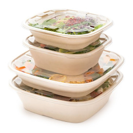 Sugarcane Bowl Natural Square Shape 4500ml 36cm (25 Units)
